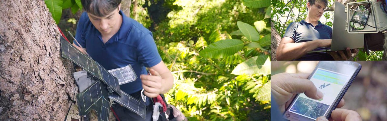 هوش مصنوعی و گوشی&zwnj;های قدیمی هوآوی به کمک جنگل&zwnj;ها می&zwnj;آیند