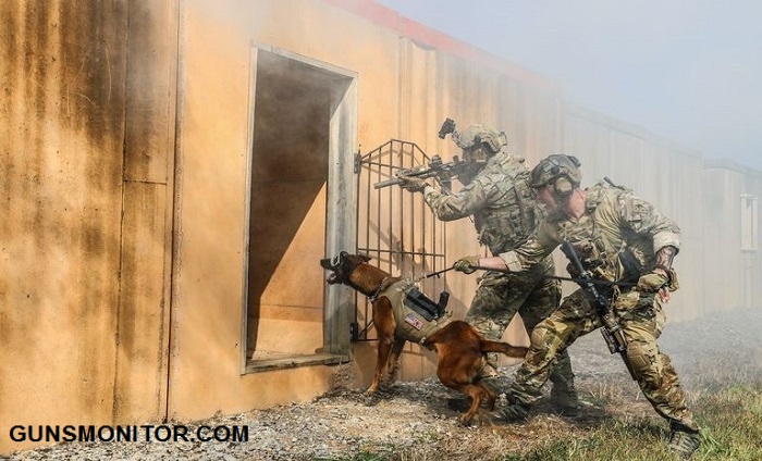 پوشش محافظ گوش؛ ابتکار ارتش آمریکا برای سگ های نظامی(+تصاویر)