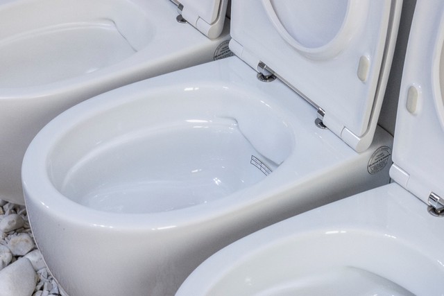 آنچه باید درباره توالت فرنگی بدانیم