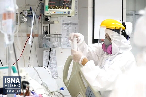 کرونا در بوشهر