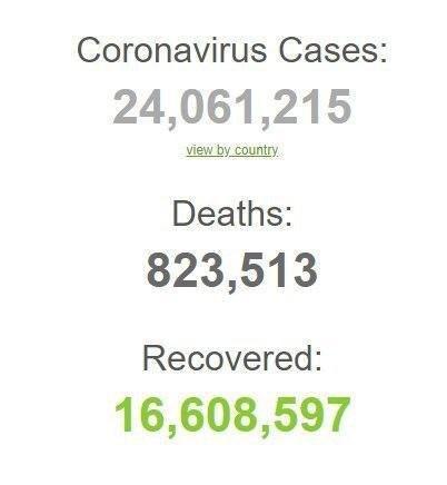 شمار مبتلایان به ویروس کرونا در جهان از ۲۴ میلیون نفر گذشت