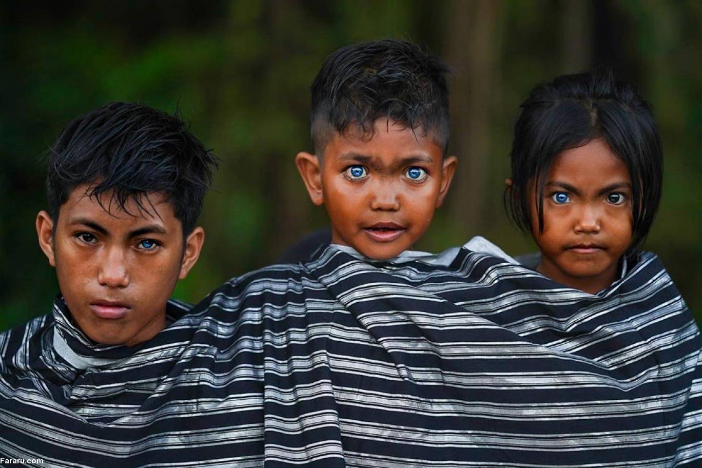 Самый необычный народ. Варденбурга синдром Ваарденбурга. Племя в Индонезии с синими глазами бутунг. Племя бутон на острове бутунг Индонезии.
