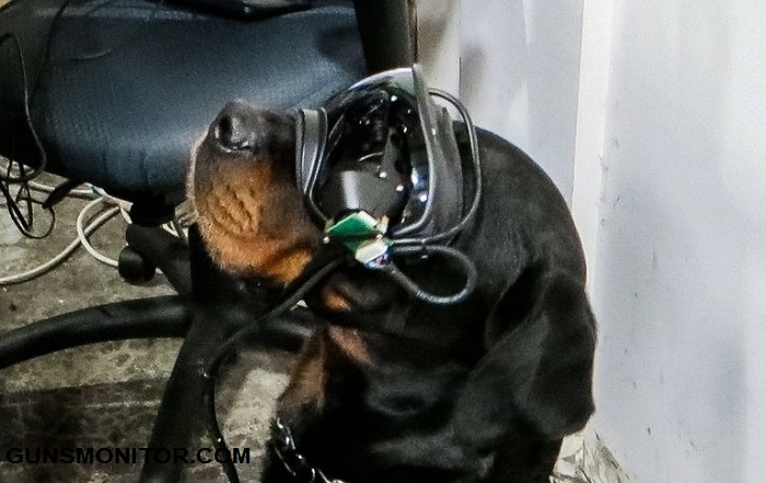 عینک های فوق پیشرفته برای سگ ها در ارتش آمریکا! (+عکس)