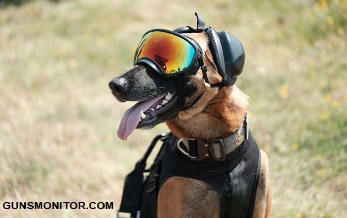 عینک های فوق پیشرفته برای سگ ها در ارتش آمریکا! (+عکس)