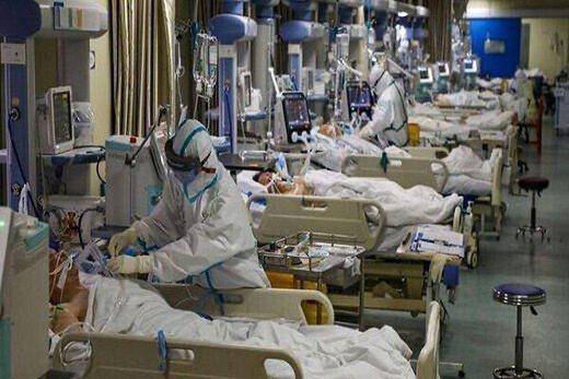عضو شورای عالی نظام پزشکی: تعداد جانباختگان کرونا ۳ تا ۴ برابر آمار رسمی است