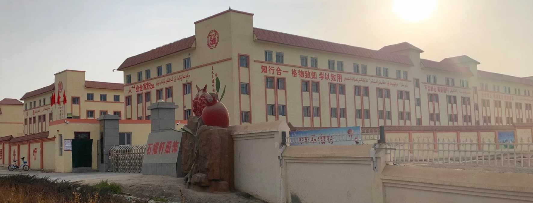 کار اجباری مسلمانان اویغور در مزارع ننگین پنبه  چین