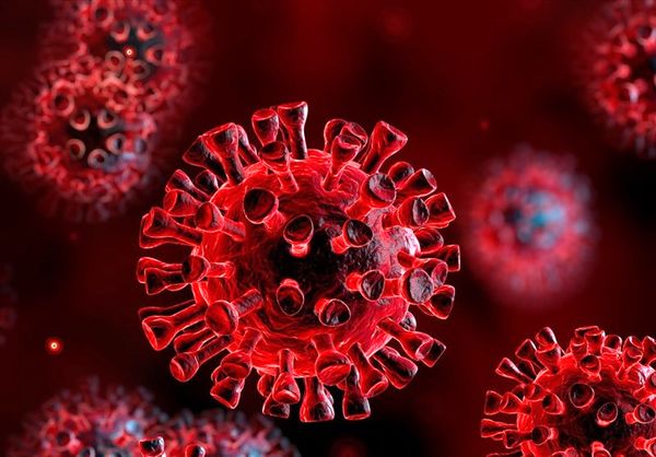 زمان ۴۰ساله برای ریشه کنی ویروس کرونا/ ویروس با جهش بقا می‌یابد