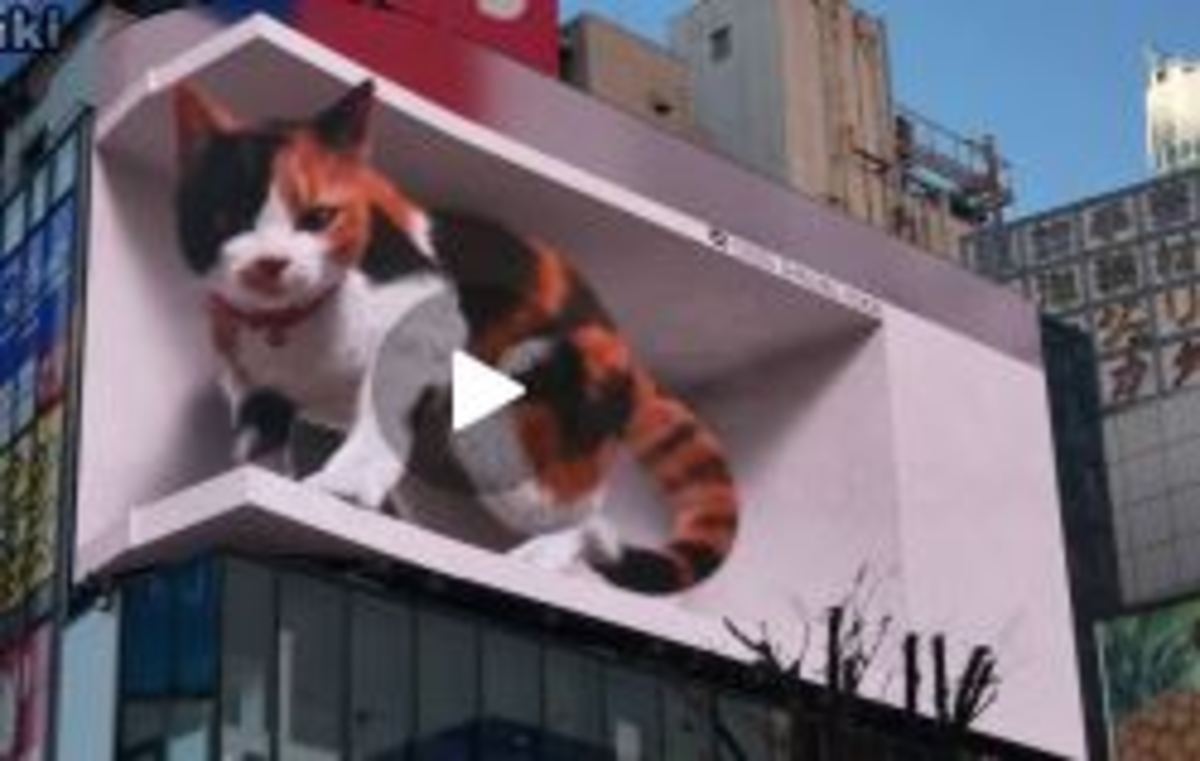 بیلبورد تبلیغاتی گربه غول پیکر سه بعدی در ژاپن (فیلم)