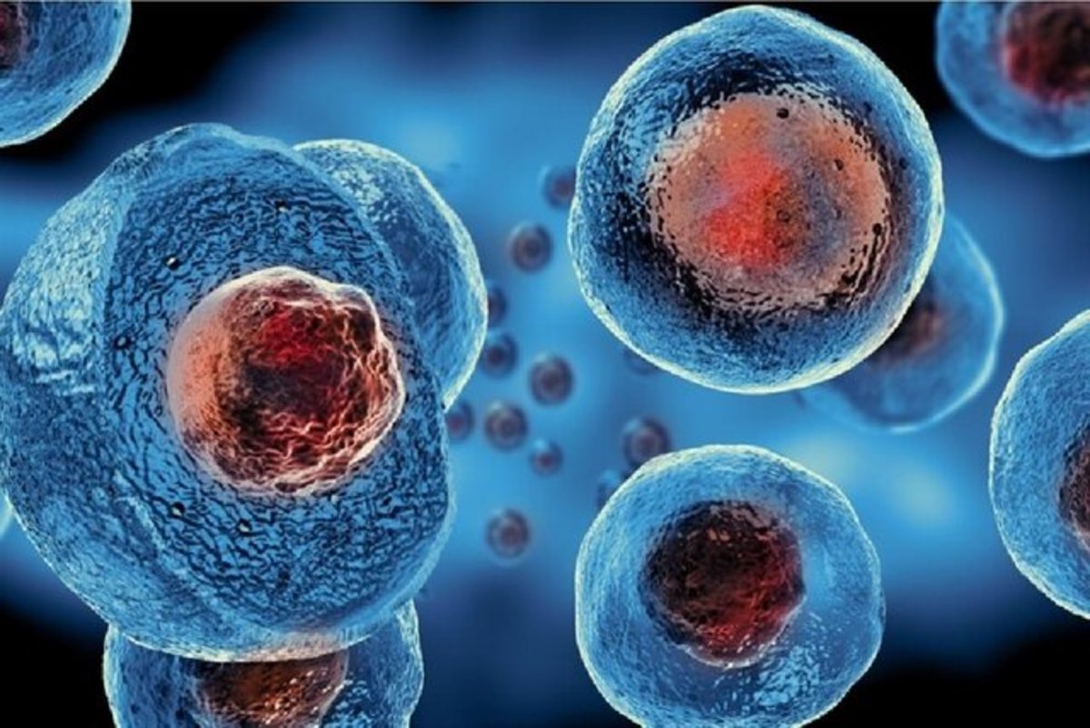 تاثیر شگفت‌انگیز سلول‌های بنیادی بر درمان کرونا