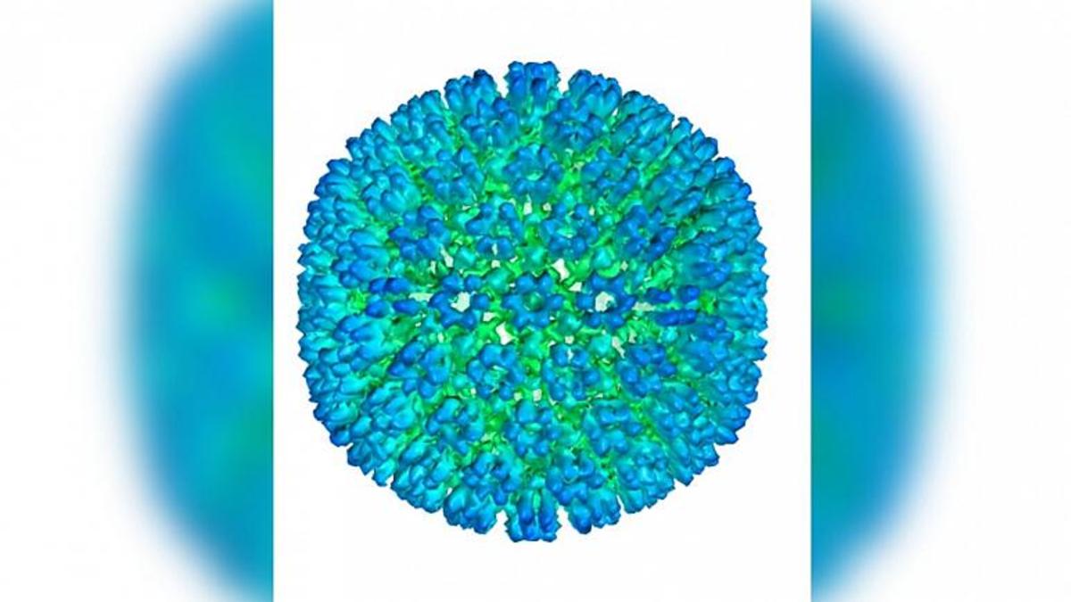 محققان ویروسی را که منجر به بیماری «ام اس» می‌شود شناسایی کردند