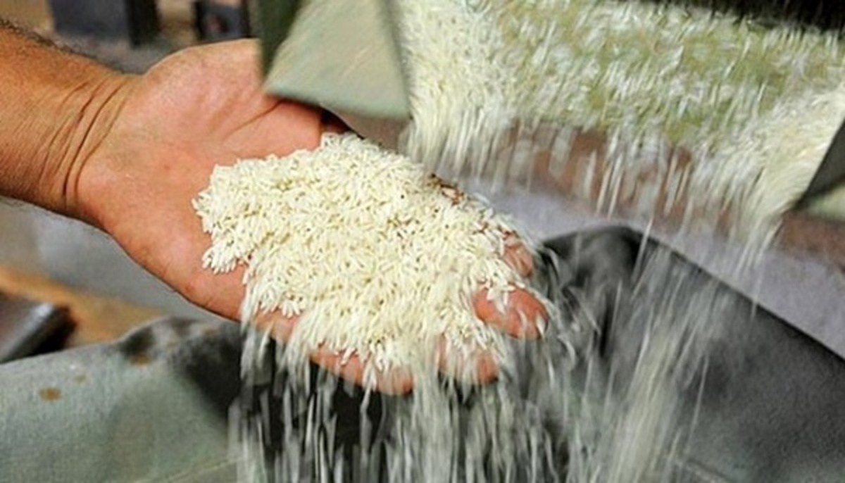 اصول نگهداری برنج خام در منزل