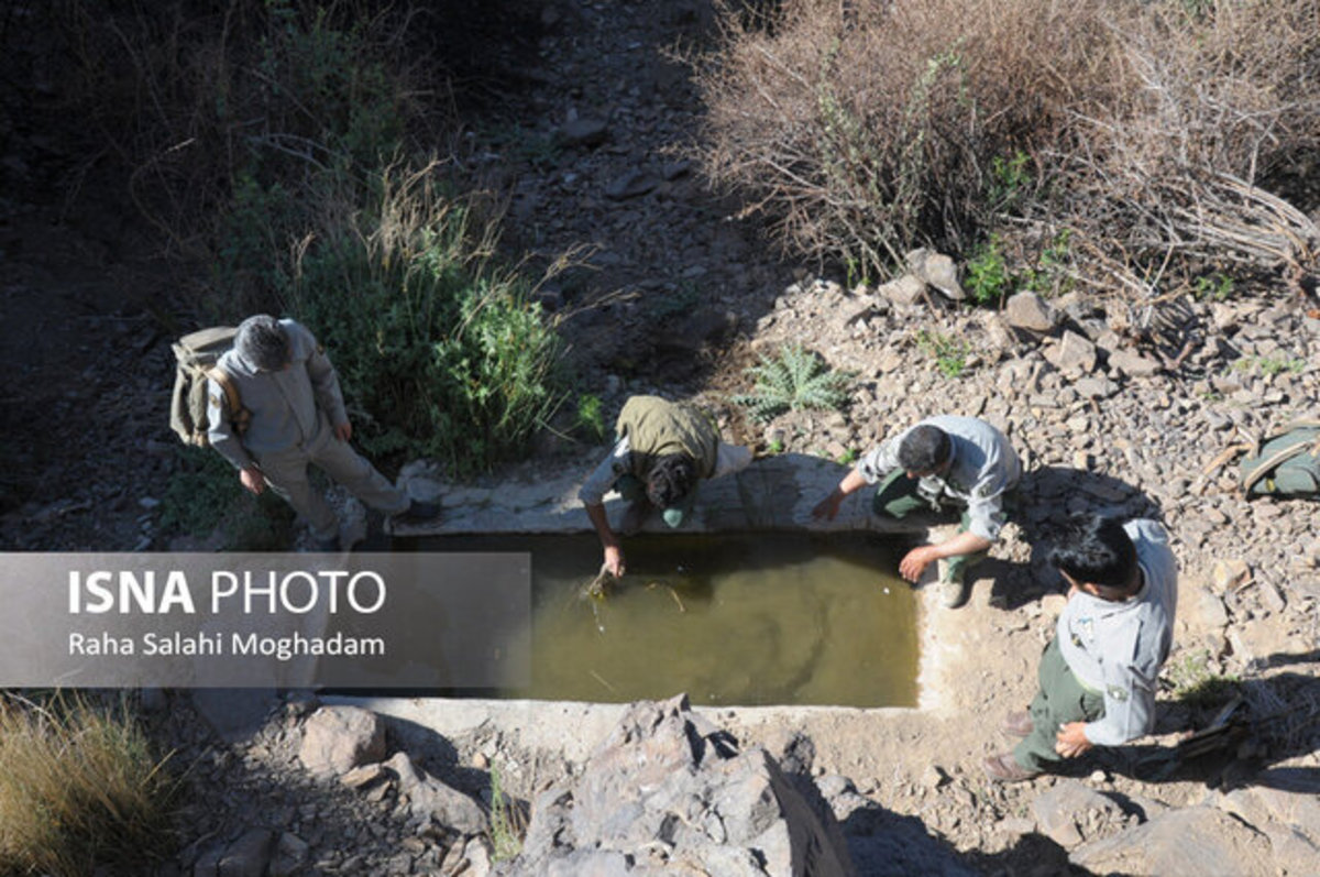 فرمانده یگان حفاظت محیط زیست استان: هر محیط‌بان کرمانشاهی به اندازه 4 نفر کار می‌کند