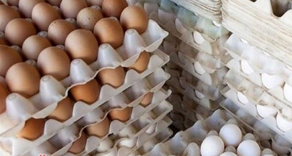 اتحادیه مرغ تخم‌گذار: با برداشته شدن ارز ۴۲۰۰ تومانی قیمت این محصول ۶ برابر می‌شود