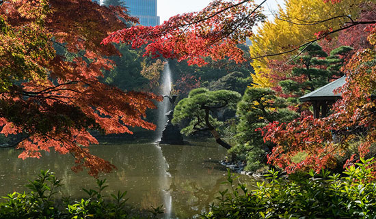 پارک هیبیای توکیو