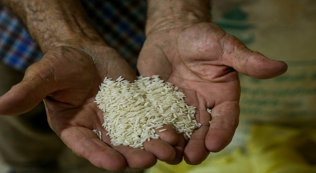 توزیع 200 هزار تن برنج خارجی تا شب عید