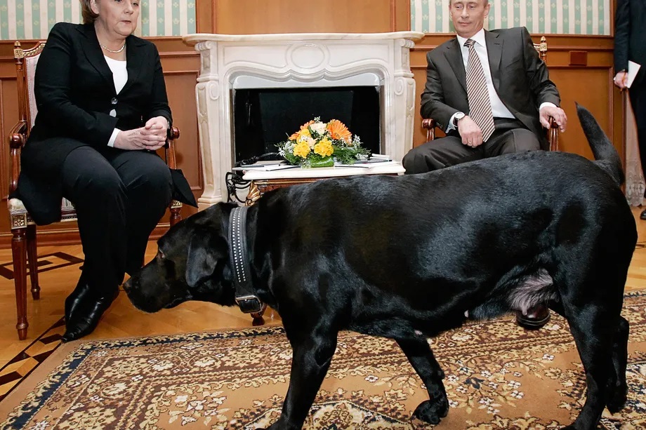 قدرت نمایی مردانه پوتین در برابر  رهبران جهان/ ترساندن مرکل با سگ سیاه (عکس)