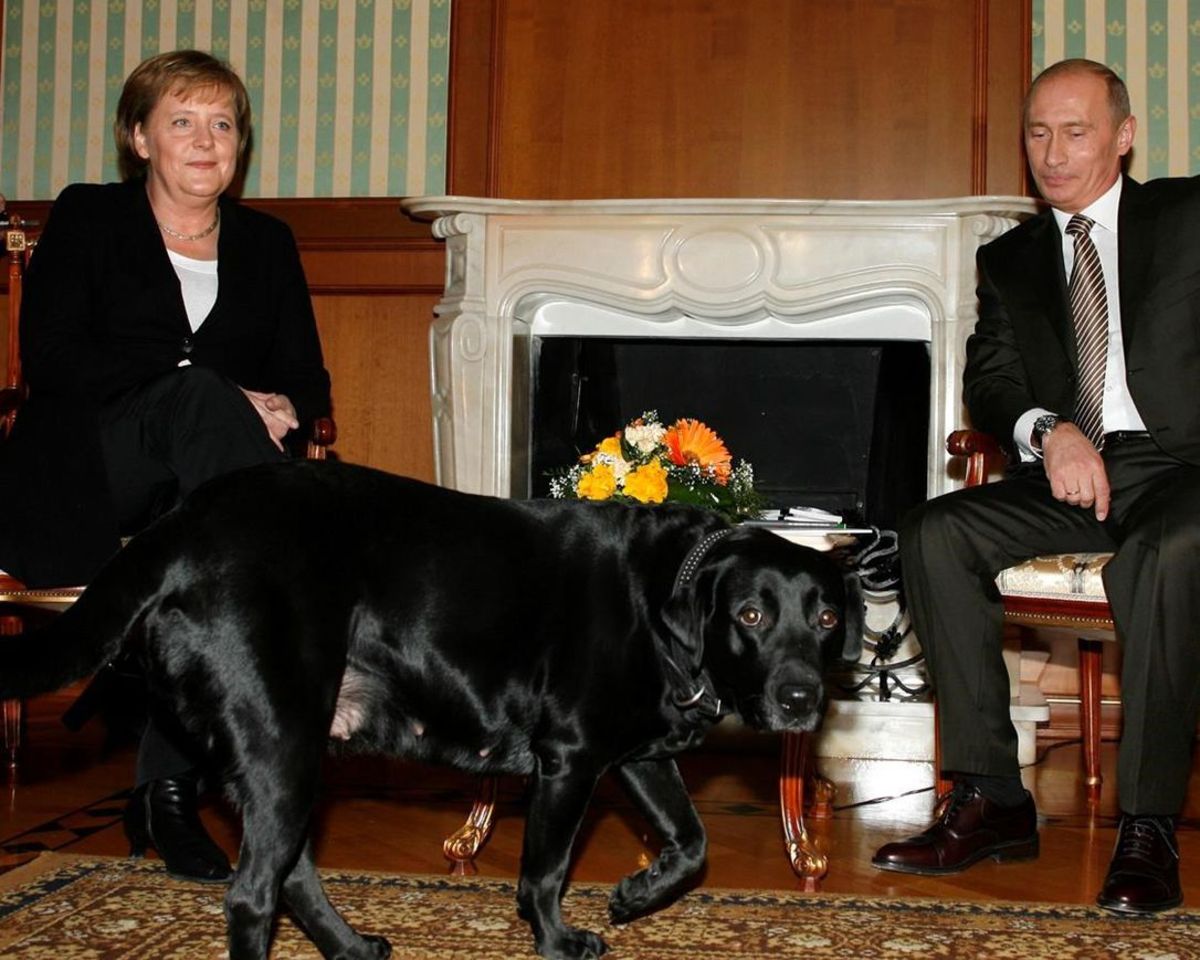 قدرت‌نمایی پوتین در برابر  رهبران جهان/ ترساندن مرکل با سگ سیاه