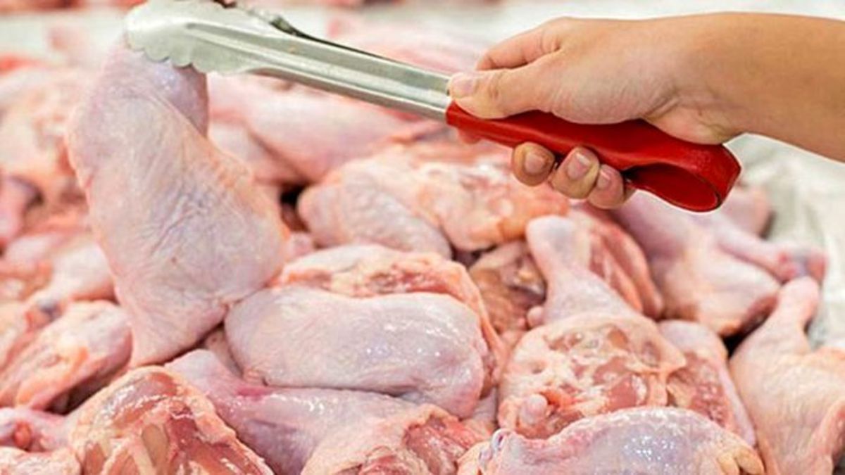 مشکل باقی‌ماندن آنتی‌بیوتیک در گوشت پرندگان چقدر جدی است؟
