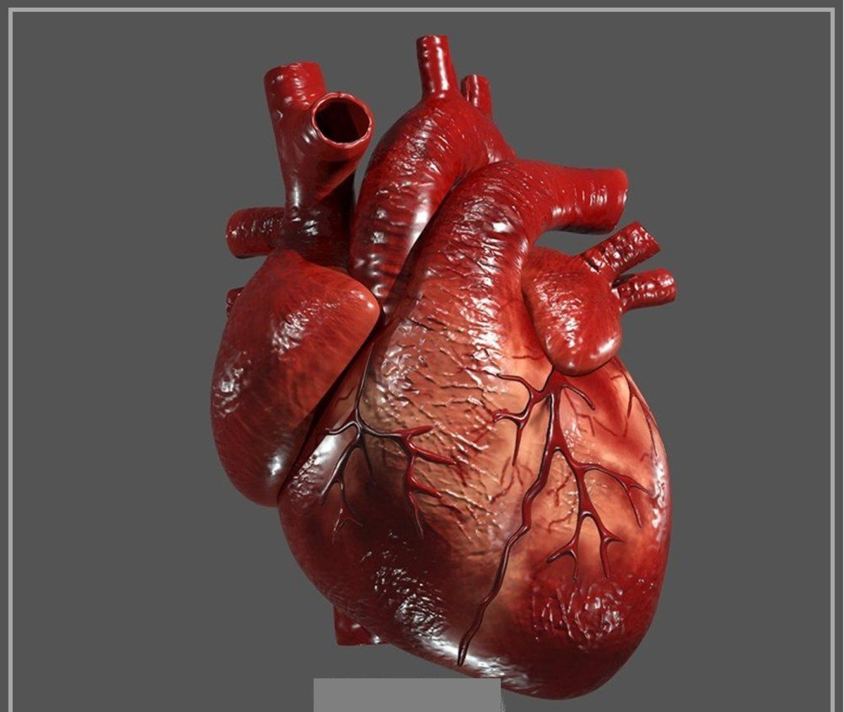 شناسایی ژن‌هایی که به حمله قلبی منجر می‌شوند