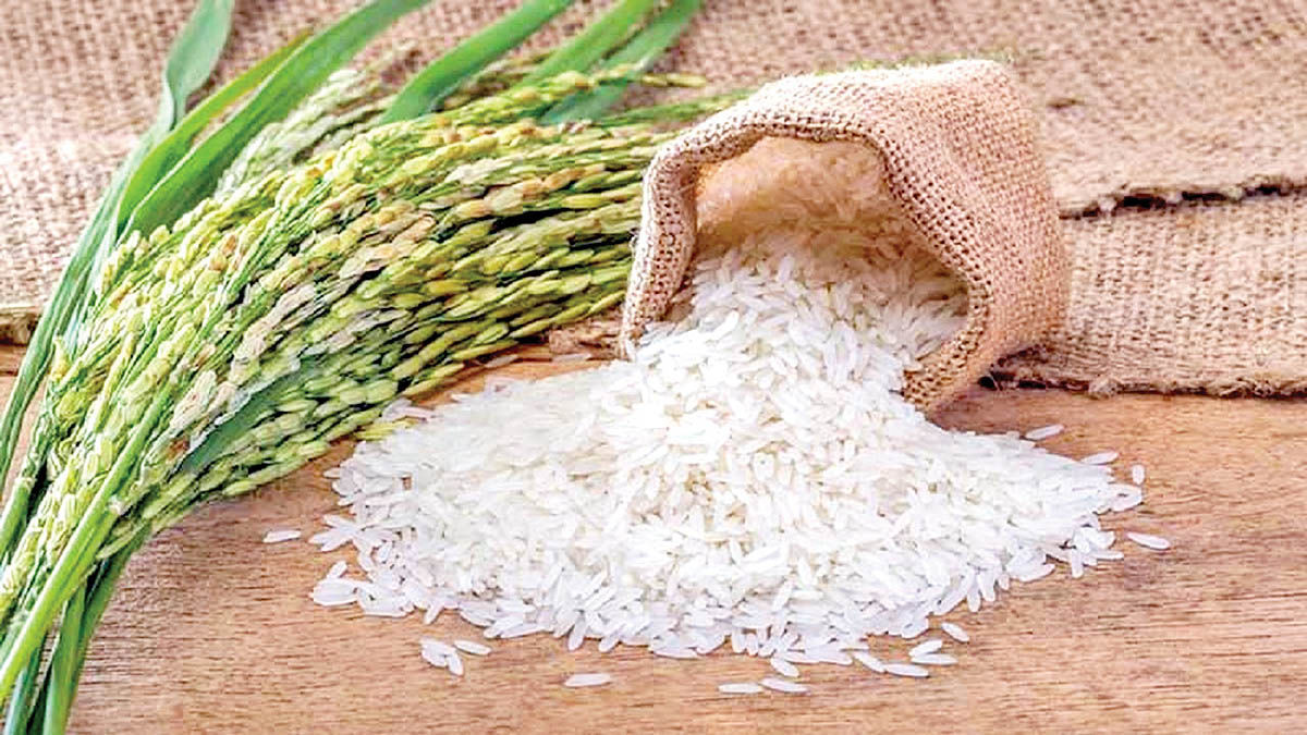 اعلام نرخ انواع برنج خارجی و ایرانی