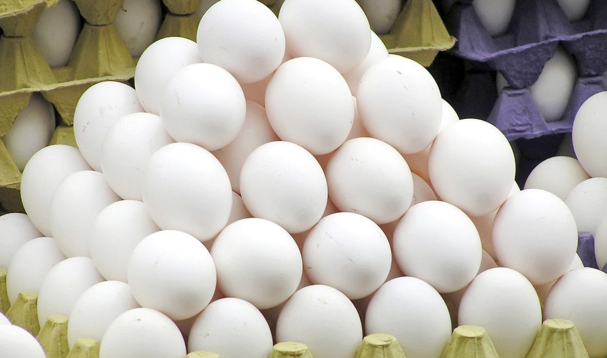 کشف بیش از ۴ تن تخم‌مرغ غیربهداشتی در لرستان