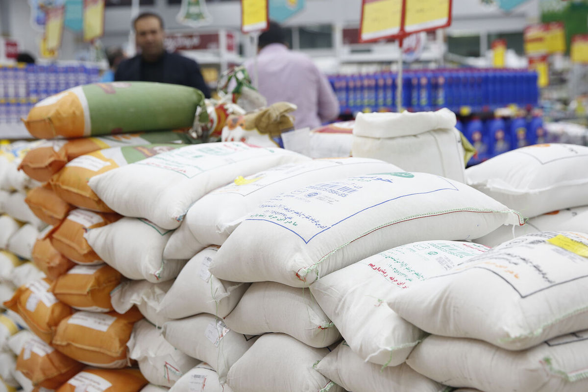 دبیر انجمن واردکنندگان برنج: تغییر سیاست های داخلی قیمت برنج خارجی را بالا برد/ اگر عوارض بر مبنای دلار نیمایی شود، گرانی قابل توجهی را تجربه خواهیم کرد