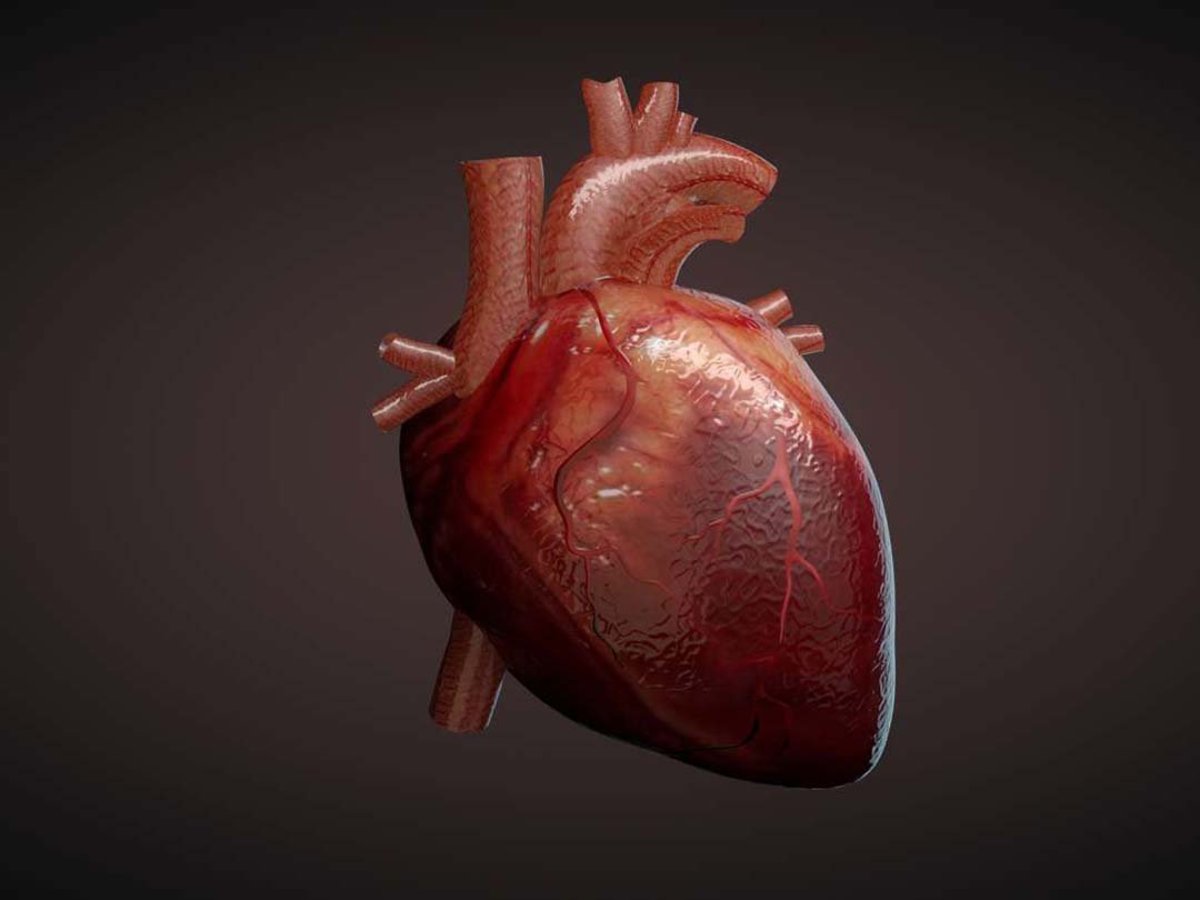 اولین قلب کاملا مصنوعی در اروپا مجوز فروش گرفت (فیلم)