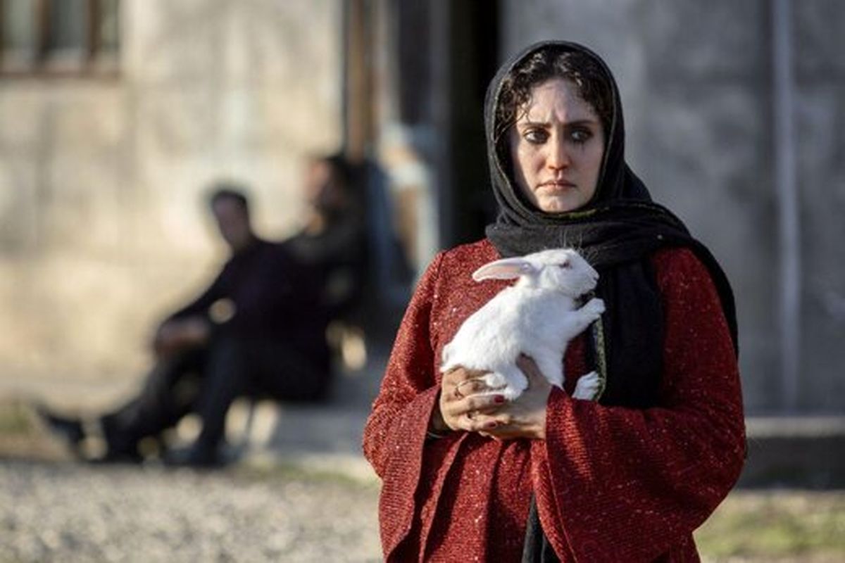 جوایز جشنواره سینمای مؤلف مراکش برای الناز شاکردوست و آیدا پناهنده