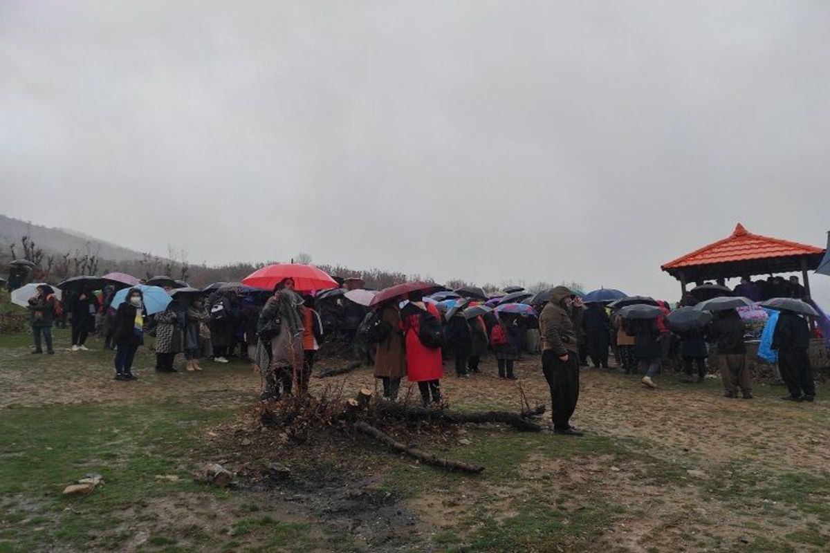 اعتراض دوستداران محیط زیست به قطع درختان بلوط (بانه کردستان)