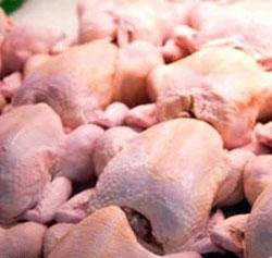 صادرات ۴۰۰۰ تن مرغ در زمان ممنوعیت