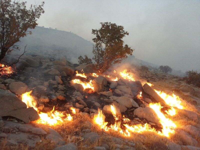 فوت دختر بچه 3 ساله در آتش سوزی مراتع