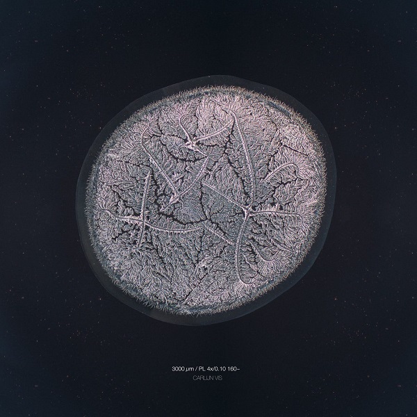 سفری به تصاویر شگفت انگیز از اشک انسان زیر میکروسکوپ(+عکس)