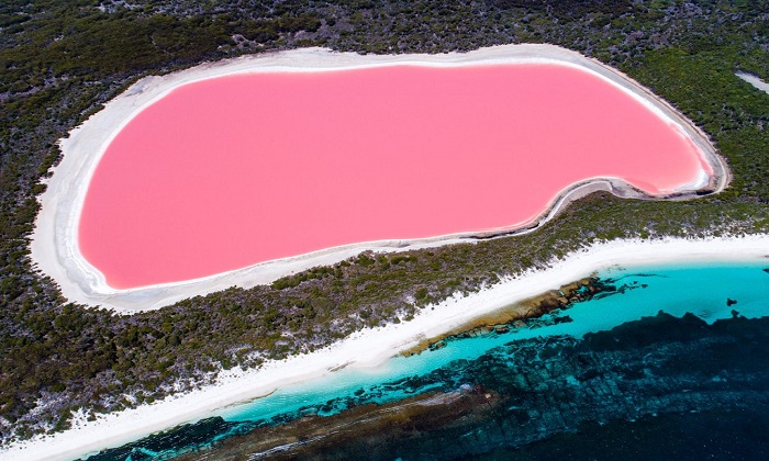 دریاچه‌های صورتی از جاذبه‌های منحصر به فرد استرالیا