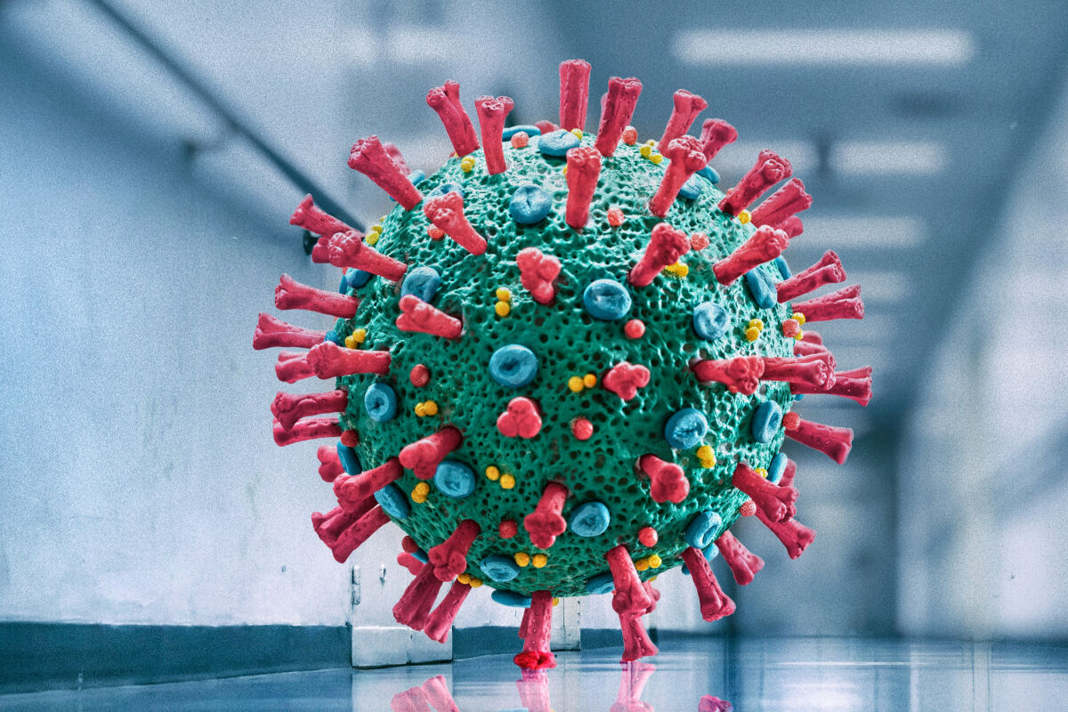 کشف ترکیباتی که از ورود ویروس کرونا به ریه جلوگیری می‌کند