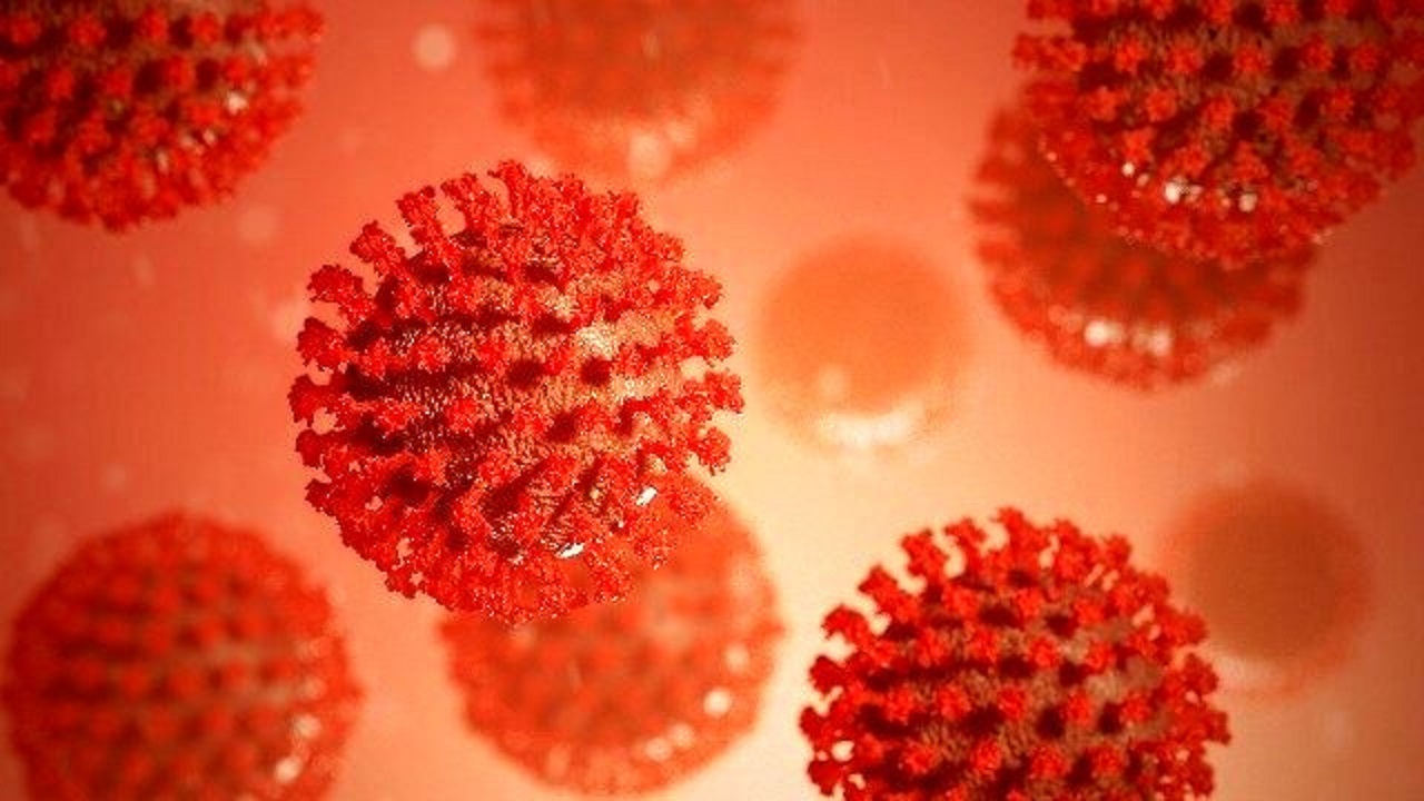 نوعی ویروس کرونا با منشا ناشناخته در برزیل یافت شد