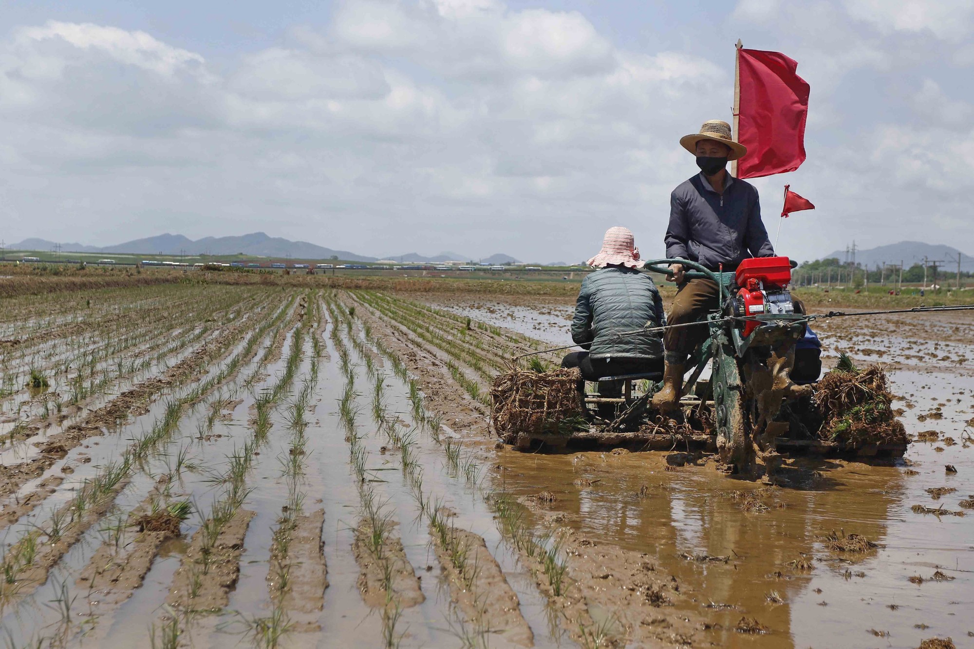 خبرگزاری کره شمالی: کودکان یتیم داوطلب کار در مزارع و معادن
