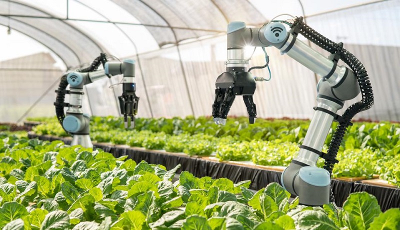 ربات ها و هوش مصنوعی در آینده نزدیک جای کارگران بخش کشاورزی را می‌گیرند