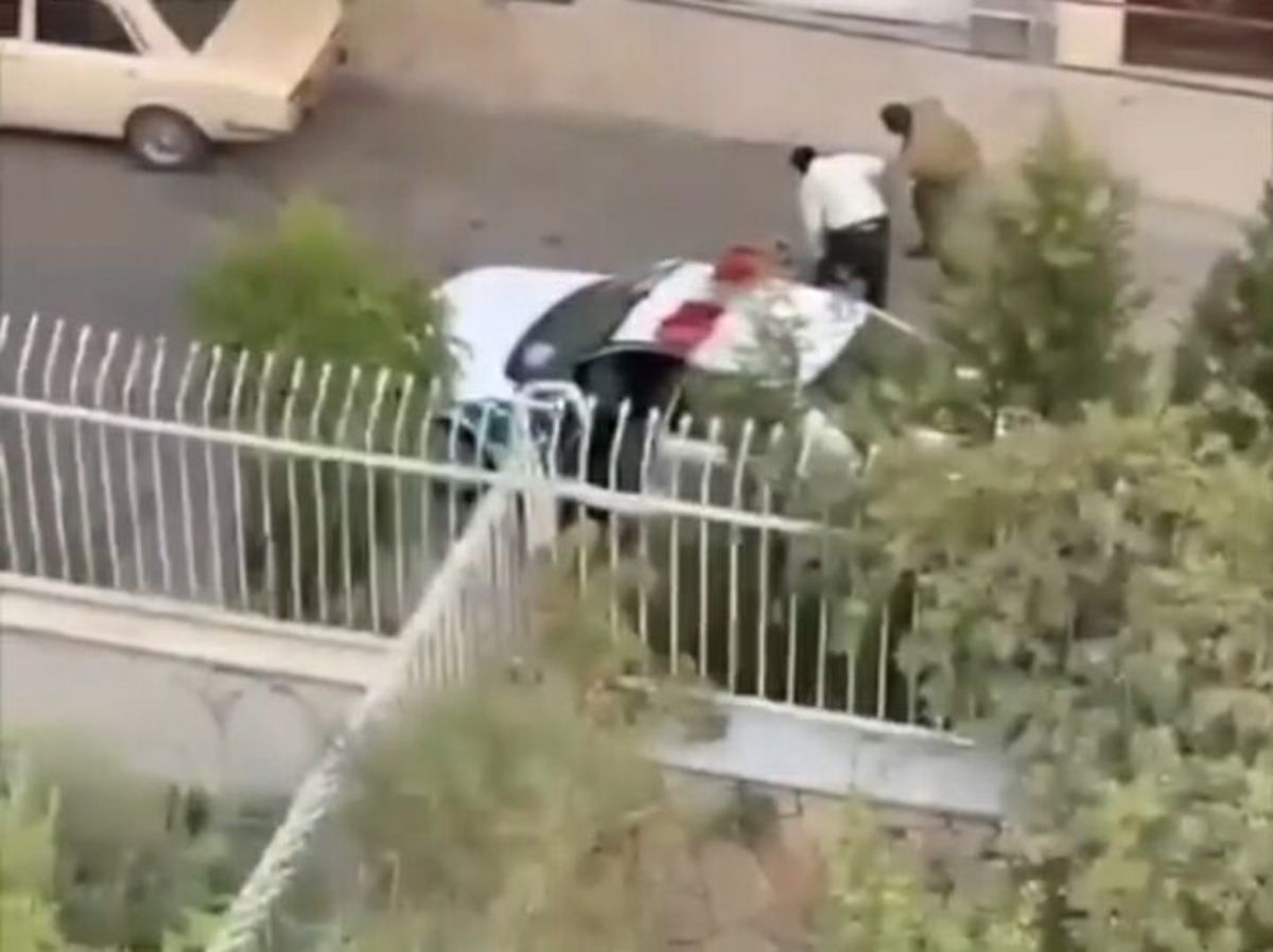 پلیس تهران: رفتار غیرحرفه‌ای مامور با صاحب سگ در دست بررسی است