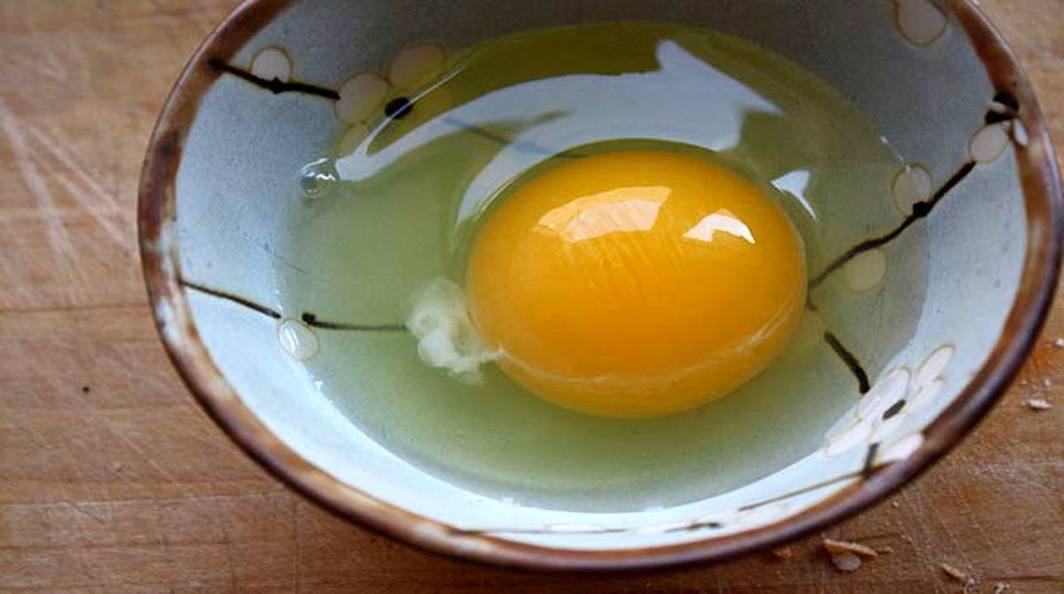 تخم مرغ فاسد چه نشانه هایی دارد؟