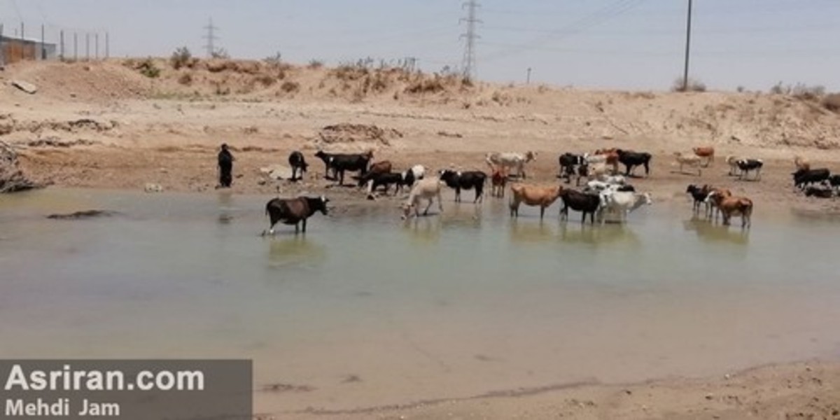 قصه پر غصه کمبود آب در خوزستان