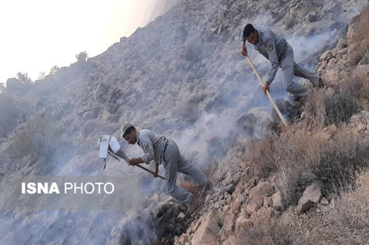 آتش سوزی گسترده در تنگ هایقر فیروزآباد فارس