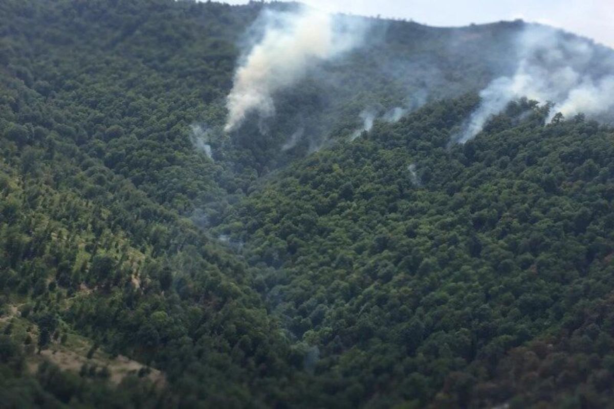 آتش سوزی جدید در منطقه جنگلی جمهوری آذربایجان در مرز ایران