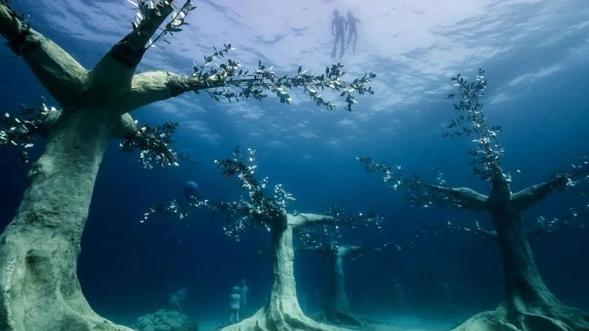 جنگلی شگفت‌انگیز زیر آب در قبرس (+عکس)