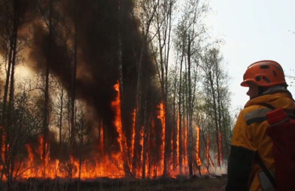 آتش سوزی در یک و نیم میلیون هکتار از اراضی جنگلی روسیه