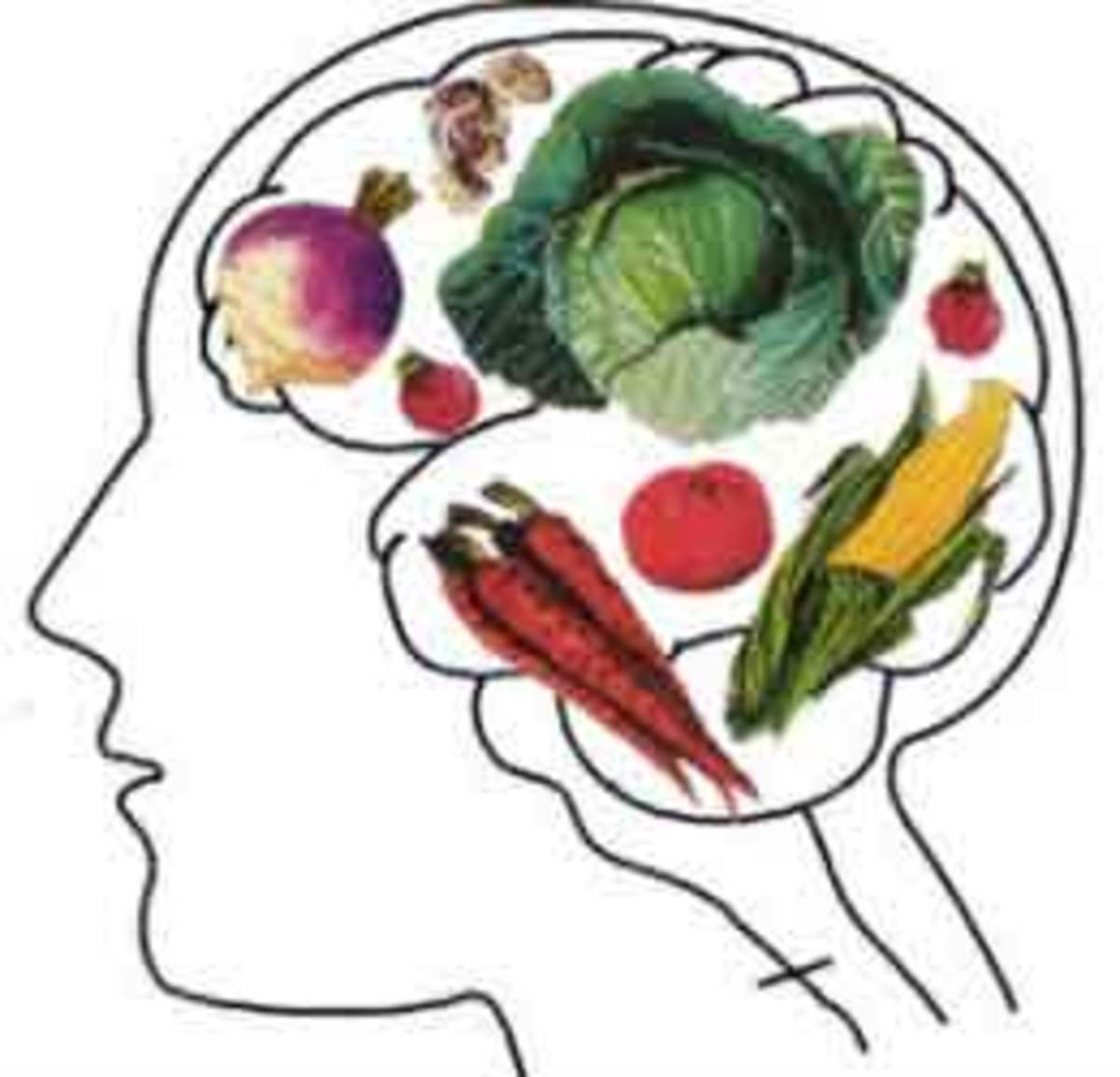 چند ماده غذایی که مغز را جوان نگه می‌دارند