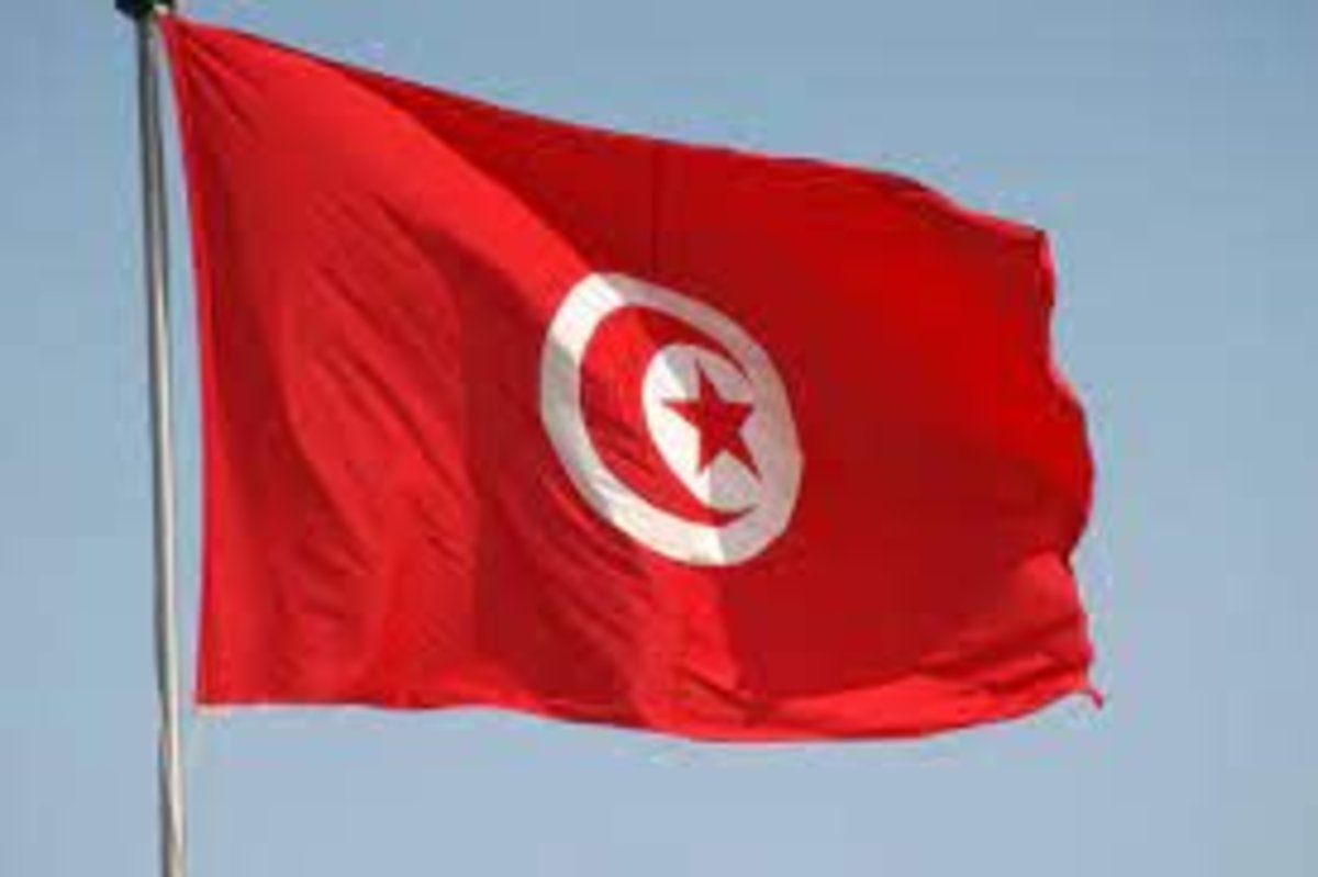درخواست‌ها برای کناره گیری دولت در تونس به دنبال تشدید کرونا