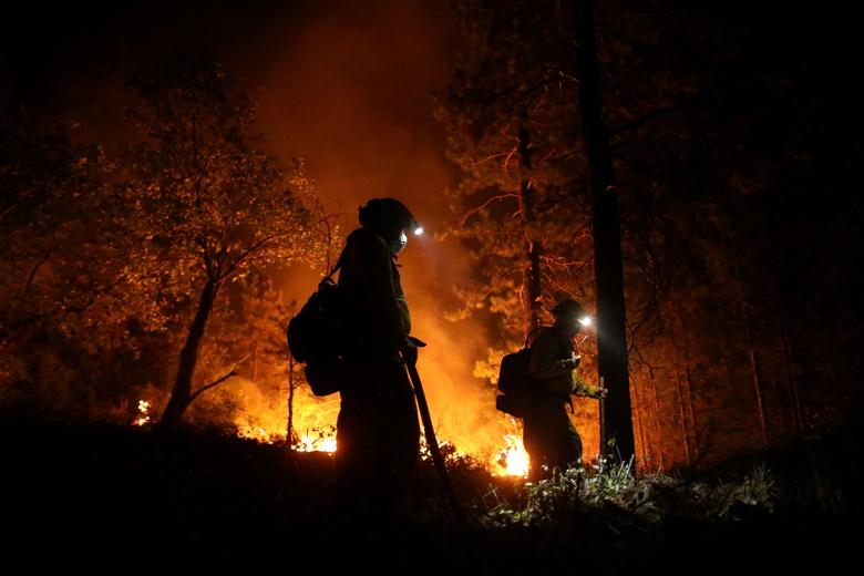 مدیترانه آتشین؛ 65 کشته در الجزایر/ شعله های آتش در یونان و ایتالیا