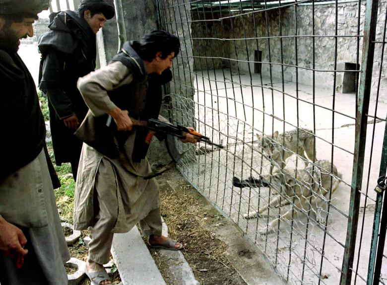 طالبان  دهه 1990 در باغ وحش کابل
