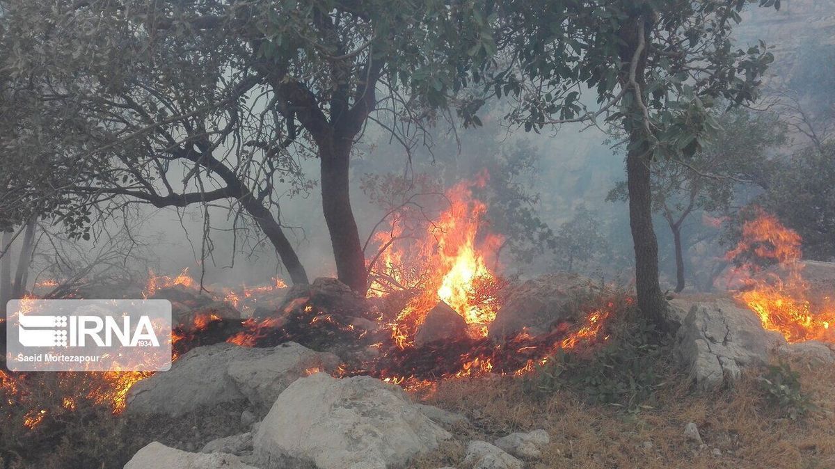 آتش سوزی در جنگل های کوه سیاه کهگیلویه