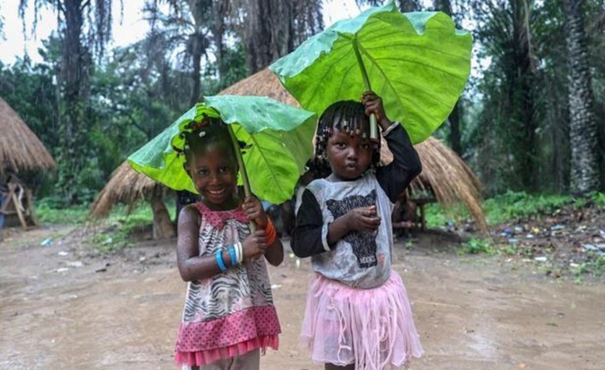چتر طبیعی کودکان گینه‌ای هنگام بارش باران (+عکس)